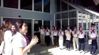 MOV02205
