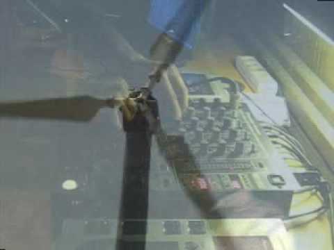 Dj ThomasWee - Petal 09