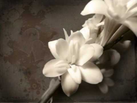 Try video