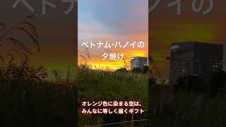 ベトナムの静かな贈り物｜池に映る夕陽と夏の音【Shorts】#ベトナム生活 #ハノイ暮らし #ベトナムの夕暮れ #夏の記憶 #Shorts #心がほどける時間 #旅行 #散歩 #ツーリング