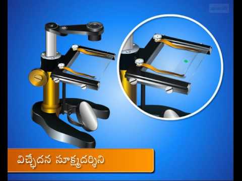 Dissecting microscope