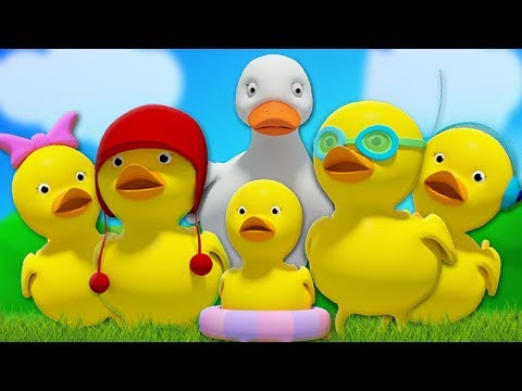 Kids Tv Norsk | fem små ender | barnasanger | Barnesanger på Norsk | Five Little Ducks