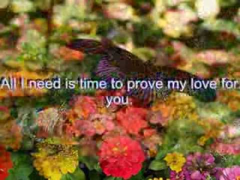 Lo Mucho Que Te Quiero.