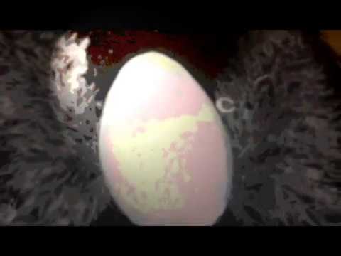 video thumnail