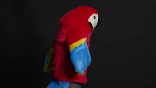 Parrot Headcover