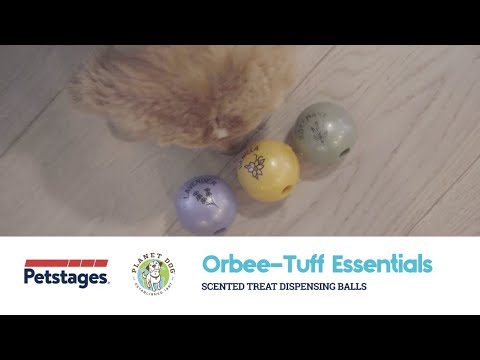 Orbee Ball – Indestructible Dog