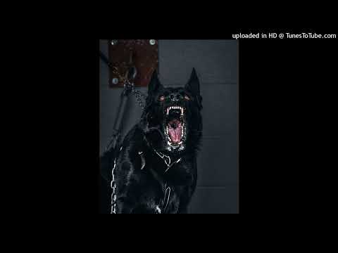 ILLUSIVE - KILLUSIVE