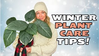 Your Plants Winter Survival Guide!