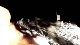 preview picture of video '2013 Dog Sled Race Slapneck Creek Crossing'