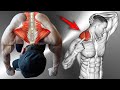 8 BEST Exercises For Bigger Traps Workout