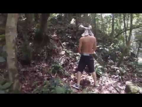 R5   Things Are Looking Up Music Video