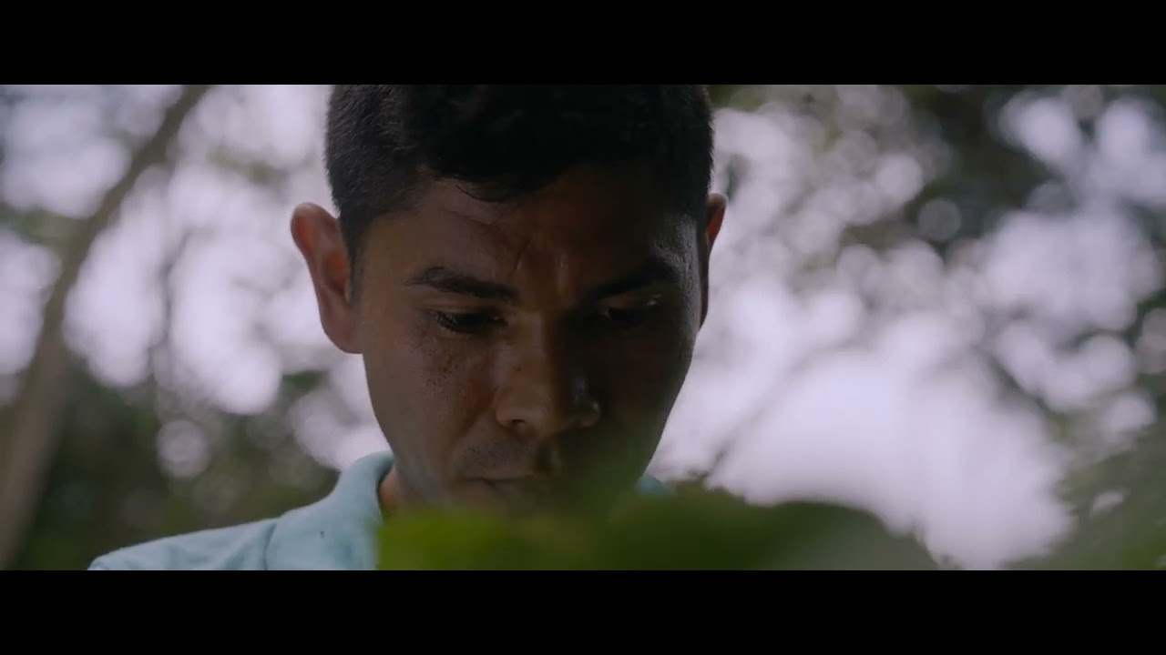 ¿Te animas a experimentar un turismo diferente? - Anfitriones para la Paz