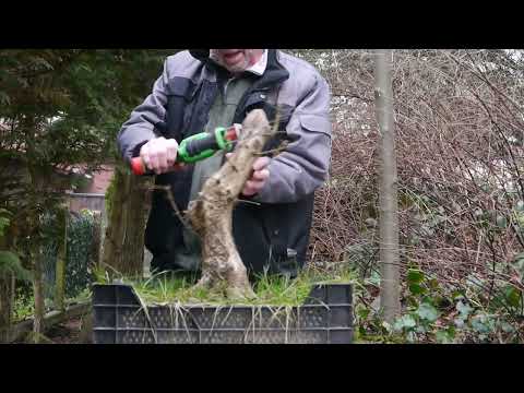 Big Boy`s schweres Los