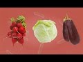E Coli What You Need To Know