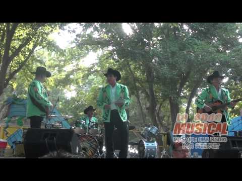 Los Tigrillos - Popurri Con Garra