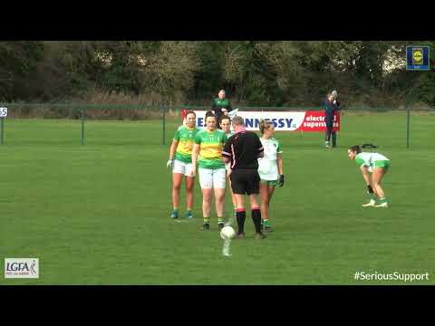 2023 02/19 Limerick v Leitrim - Lidl NFL Div 4 Group B Round 4