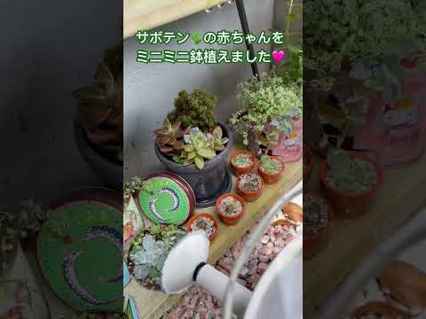 aménagement-jardin-de-rocaille-maison-pelouse