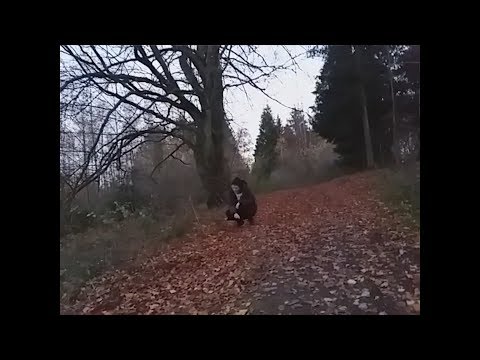 GennX - lonely (Video) [flpd1]