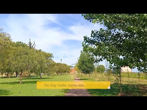 NHNCV Programa completo.