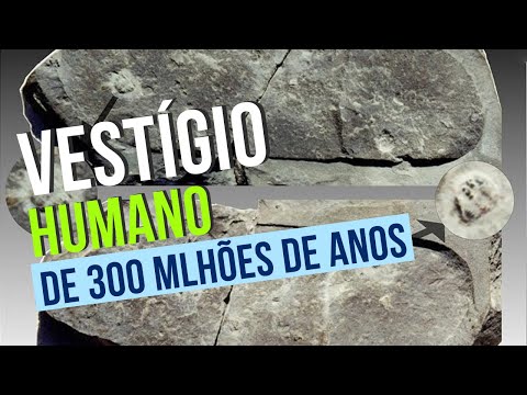 300-million-year-old fossilized human footprint? What now...