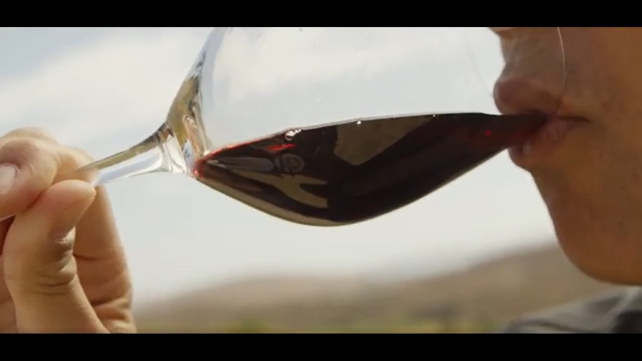 Wines from Lemnos PDO & Wines from Pella PGI