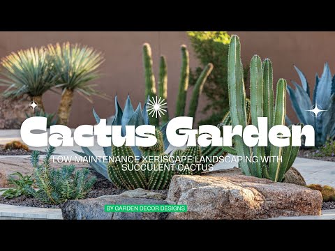 STUNNING! CACTUS GARDEN DESIGN IDEAS | LOW MAINTENANCE XERISCAPE LANDSCAPING WITH SUCCULENT CACTUS