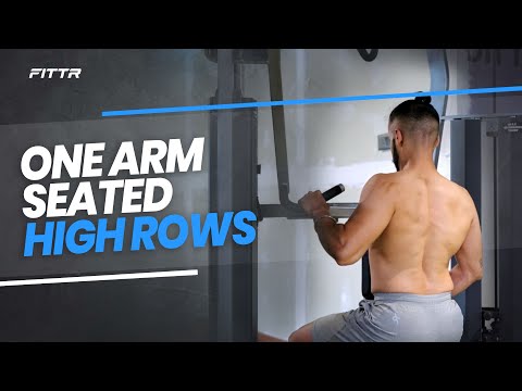 One Arm Seated High Rows