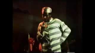 The Mouse and The Man - Eek A Mouse - live