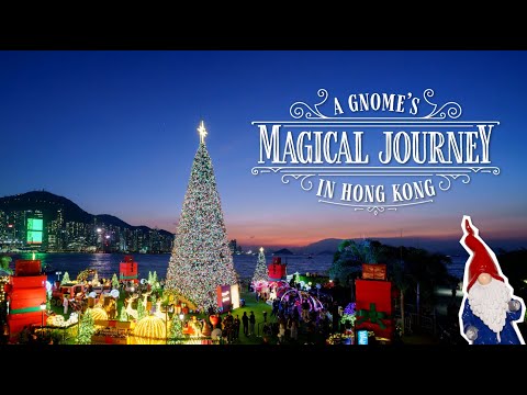 🎄A Gnome’s Magical Journey in Hong Kong ✨小精靈的香港聖誕夢幻之旅