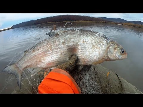 Рыбалка сплавной сетью поздней осенью, Сиг, щука, рыбалка на реке Амур с fisherman dv.27rus,