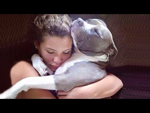 Quand l'amour des animaux est le meilleur remède du monde ❤️best