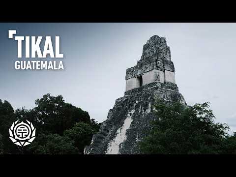 Exploring the Ancient Mayan City of Tikal | Guatemala | Travel Guide 🇬🇹