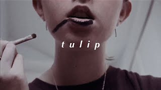Tulip - art piece