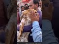 Bakre Ki Malik Se Judayi बकरे की मालिक से जुदाई Maulana Azam Far
