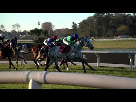 210530 c06 B Gomez/ DECISIVO BOY