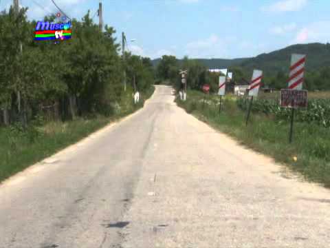 Investitii la Furnicosi