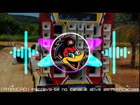 BOTOU GAIA SEM PENA ( LEOZINHO PISADINHA ) COM GRAVE