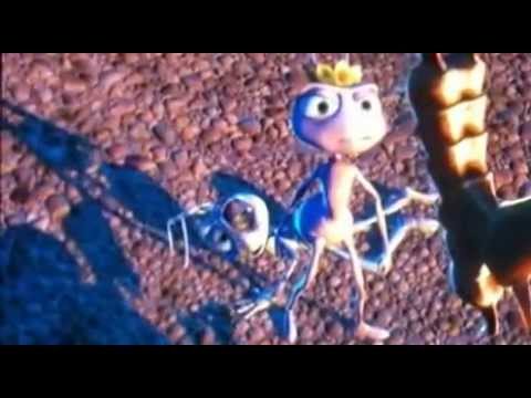 La Gaita de las Hormigas  Iluminacion Gaitera