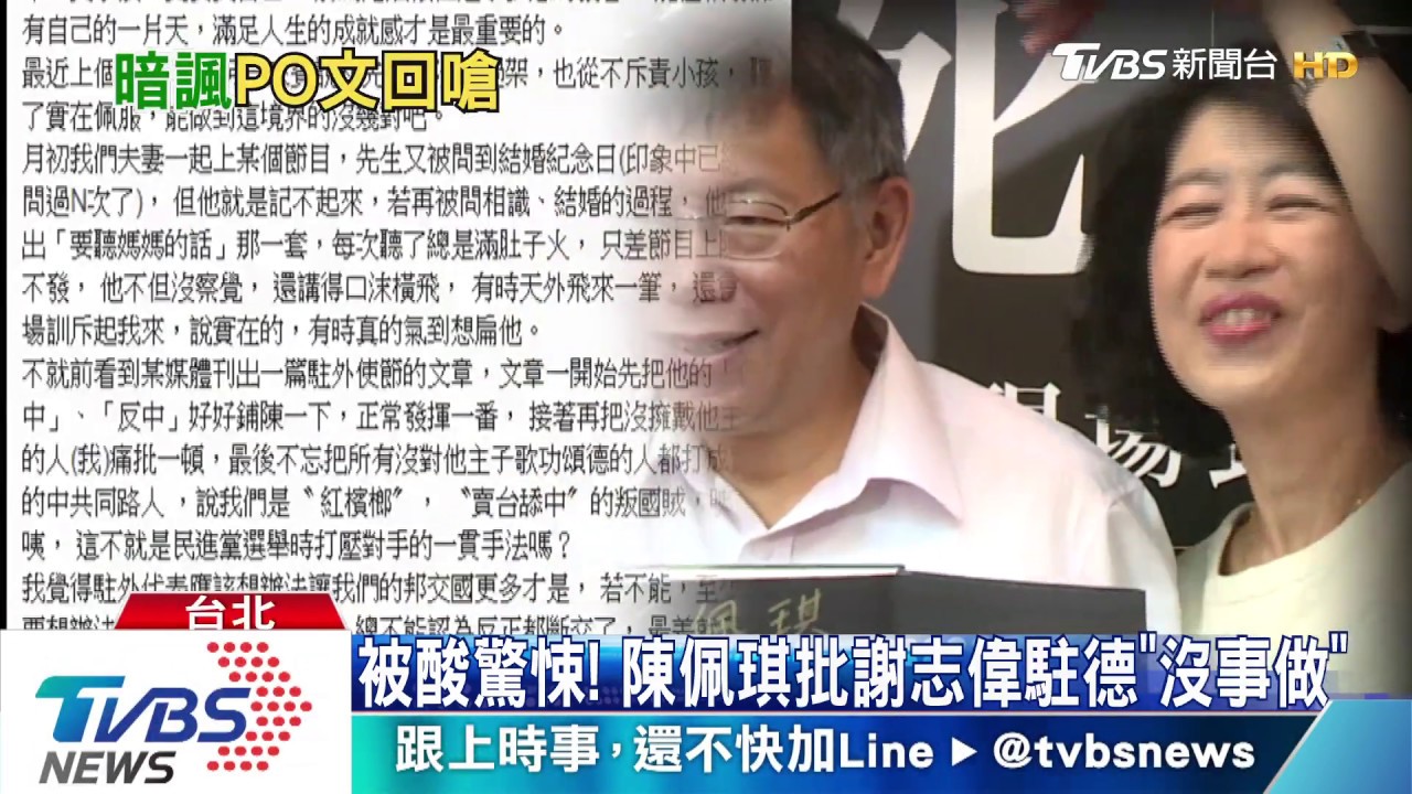 被酸驚悚! 陳佩琪批謝志偉駐德「沒事做」