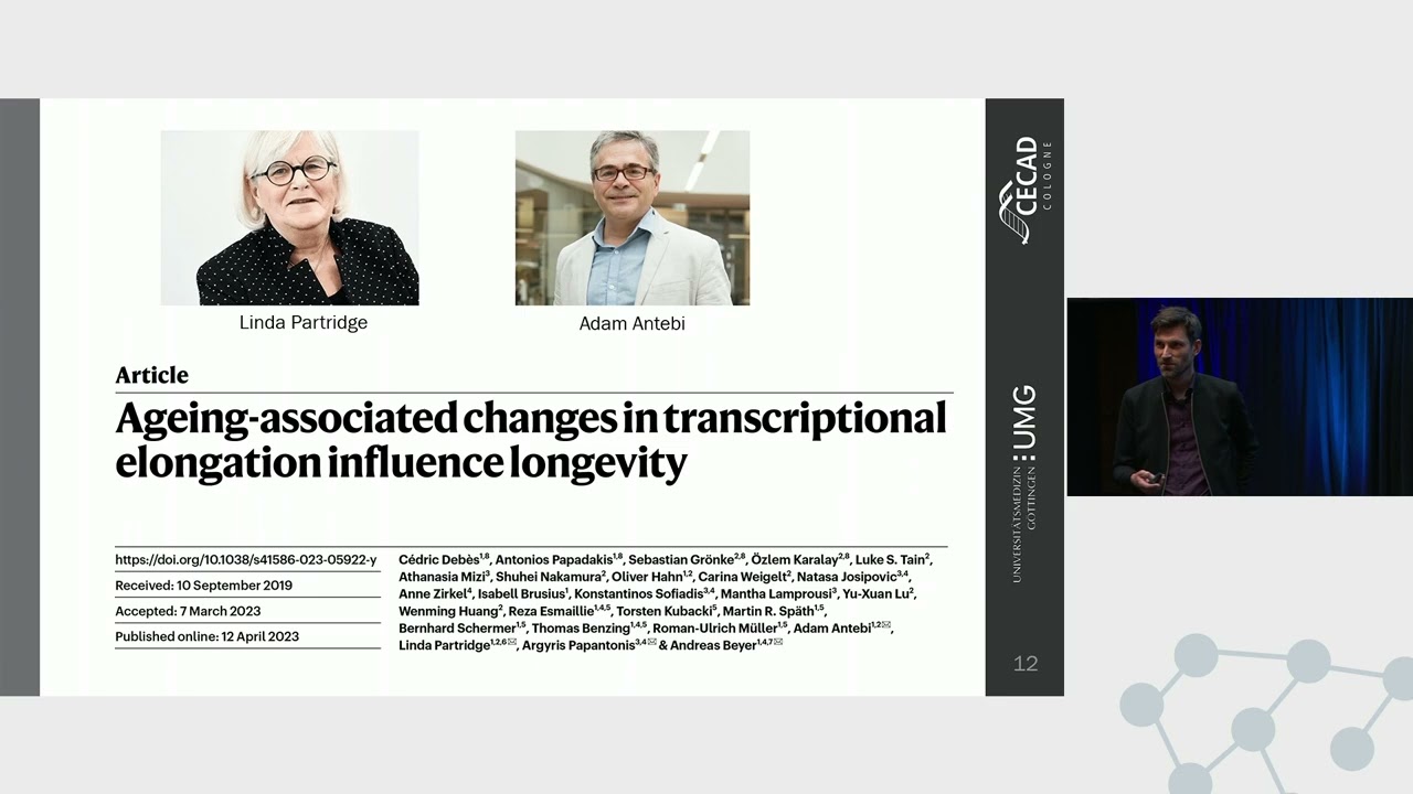 Living in the Fast Lane: Accelerated Copying of Genetic Information with Aging