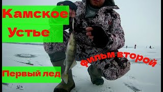 Ловля леща на камском устьете