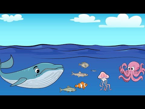 God Creates Birds and Fish — Preschool Kids Worship — May 15, 2022