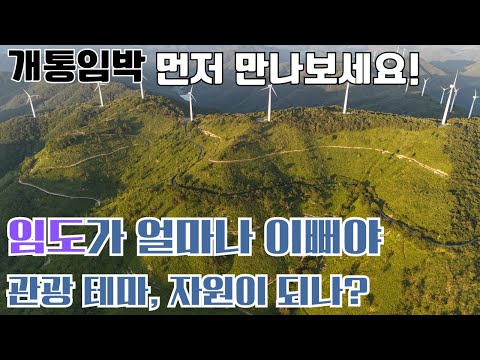인생계곡! 상상초월 계곡에서 노지캠핑