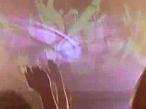 Inside Out vs Goodgreef - Marcel Woods Drops Lemon Tree