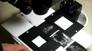 Scanning (Digitizing) Medium- and Large-format Negatives with a DSLR
