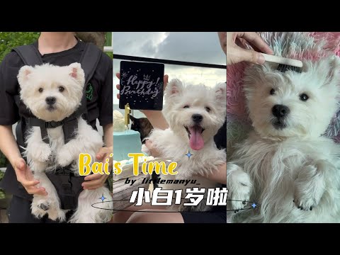 【生活Vlog】小白一岁啦! | 生日SPA & 出去玩