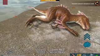 Just a little bit of ark