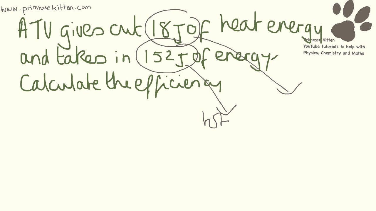 Efficiency Calculations