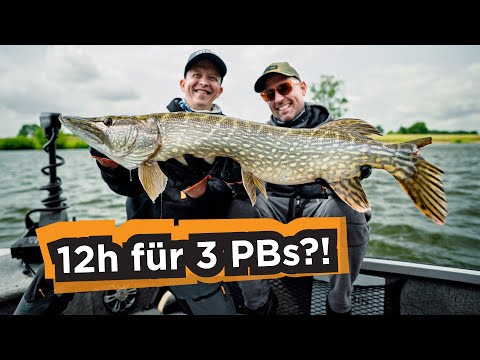 3 PB's an einem Tag?! Angelrookie Peter vs. Zander, Hecht & Barsch!