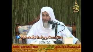 البخاري (320) " إن إبراهيم كان أمة " كتاب أحاديث الأنبياءح(3357إلى ح3364) للشيخ مصطفى العدوي2 1 2015 image